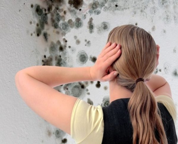 Женщина, держащаяся за голову при виде грибка на стенах