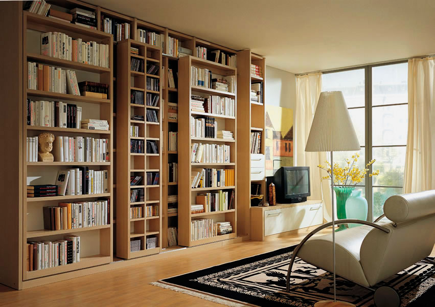 Фото книжного шкафа с подвижными элементами