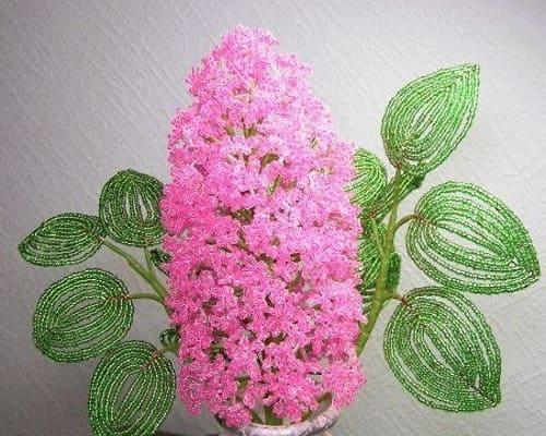 cveti-iz-bisera cveti-iz-bisera