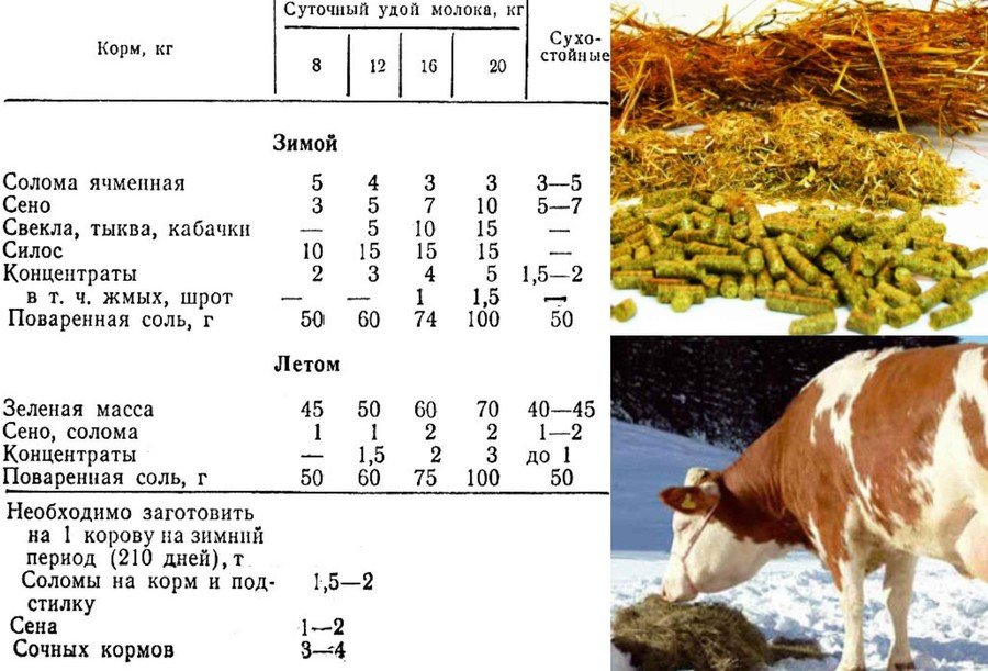 Кормление коровы зимой