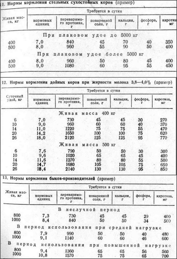 Нормы кормления коров