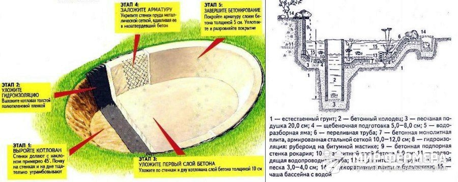 Как сделать пруд для рыбы