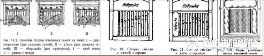 Подготовка пчел к зиме Как подготовить пчел к зимовке