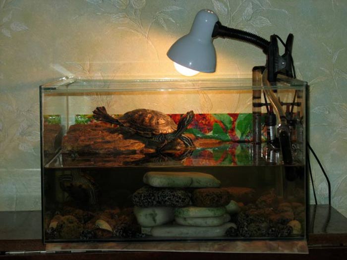 Лампа для черепахи