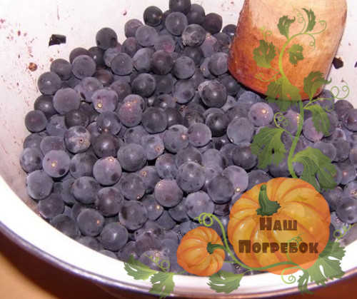 podgotovka-vinograda-dlya-vina