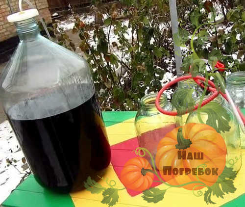 prigotovlenie-vina-iz-vinograda-izabella
