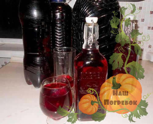 prostoj-recept-vina-iz-vinograda-izabella-v-domashnih-usloviyah