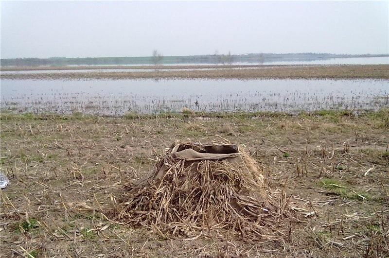 Скрадок для гусиной охоты