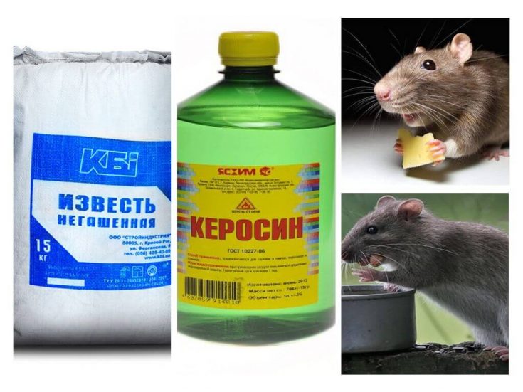 Отпугивание крыс