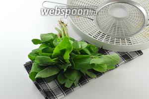 Фото совета Как сушить шпинат