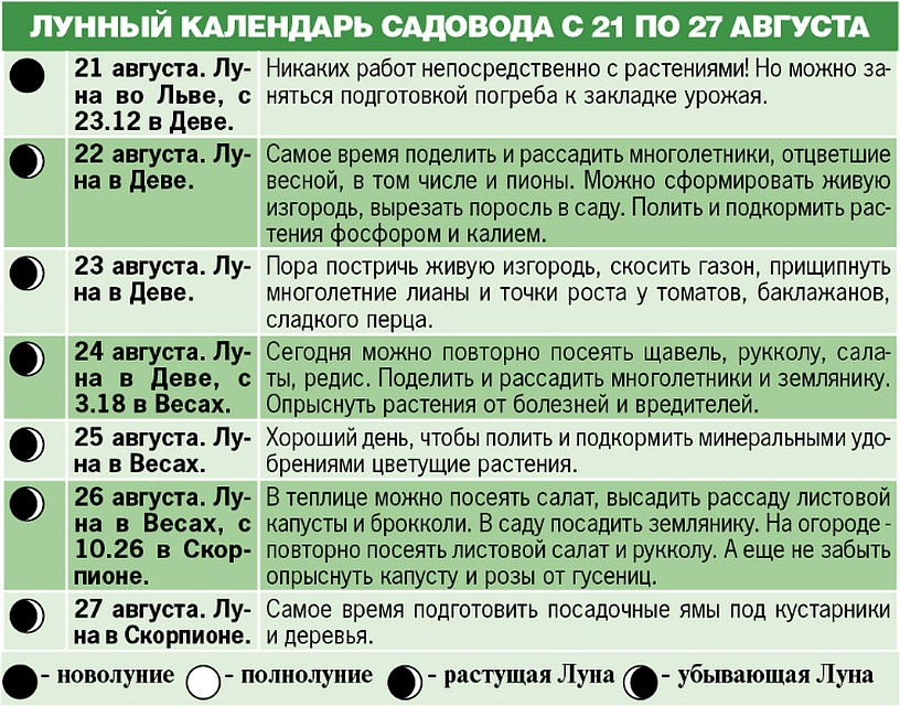 Лунный календарь садовода с 21 по 27 августа 