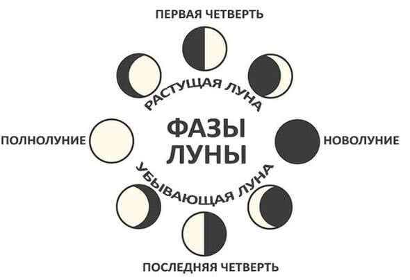 фазы луны