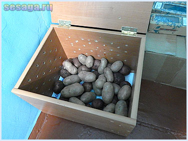 Ящик для хранения картофеля с картофелем внутри