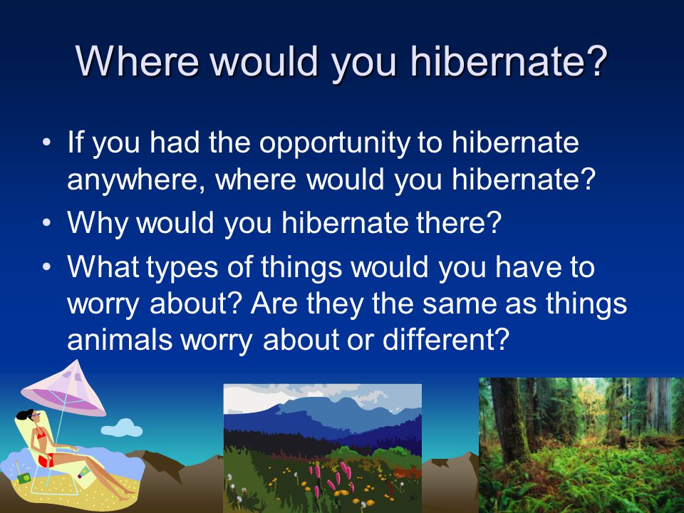 Where would you hibernate