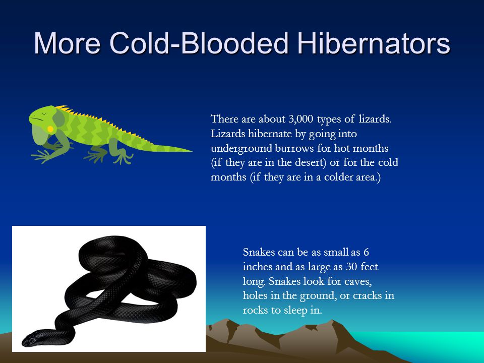 More Cold-Blooded Hibernators