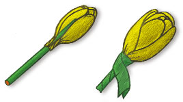 Бумагопластика: Тюльпаны из гофрированной бумаги