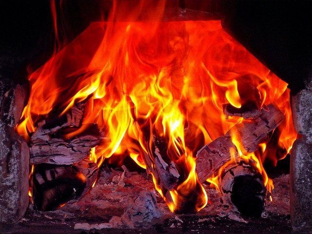 Какими дровами лучше топить печь