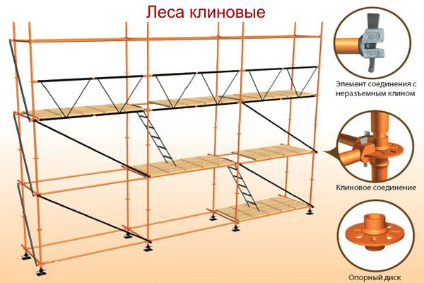 КЛиновые леса