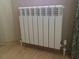 Нижнее и седельное