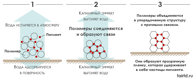 акриловые краски состав и схема высыхания