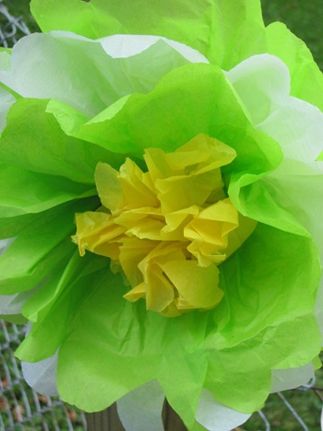 бумажные цветы из гофрированной бумаги