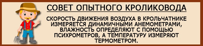 Совет опытного кроликовода