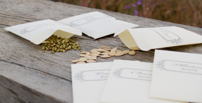 Бумажный пакетик для хранения семян