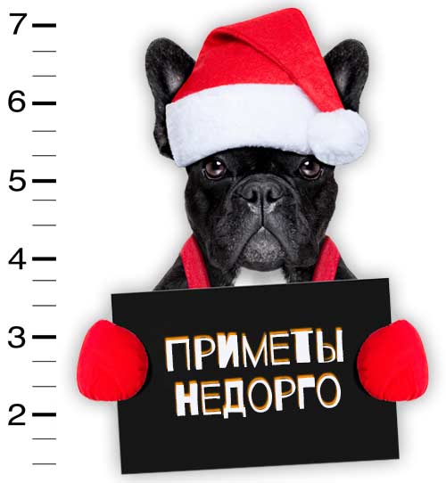 Приметы на новый год 2018