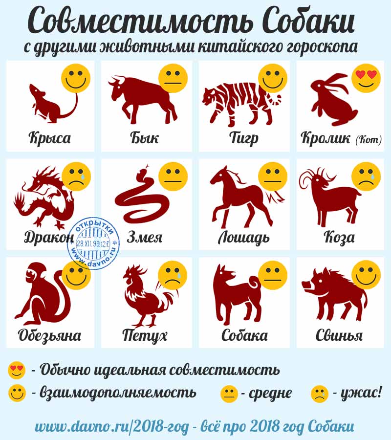 Совместимость собаки со знаками (животными) китайского гороскопа на 2018 год
