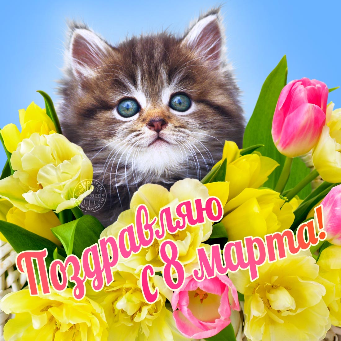 Самая добрая открытка для девушек