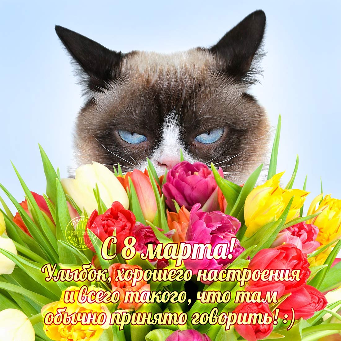 Когда не знаешь, что подарить и пожелать )
