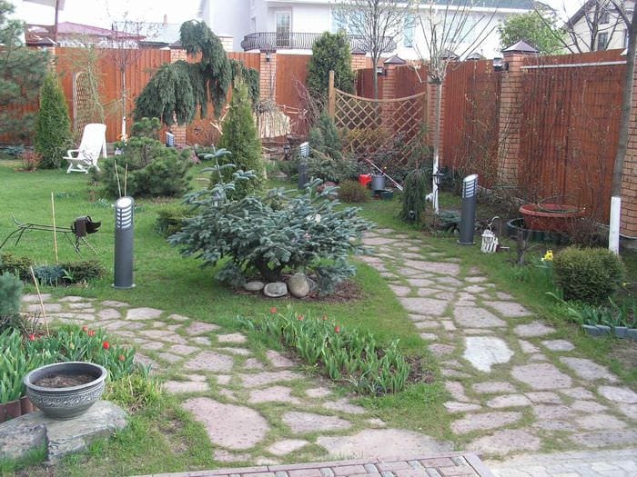 вариант применения светлых садовых дорожек в ландшафтном дизайне