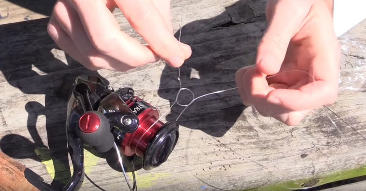 spinning reel braid