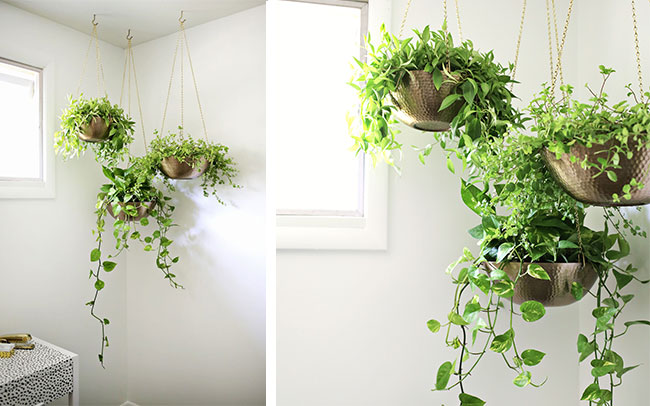 hanging planters