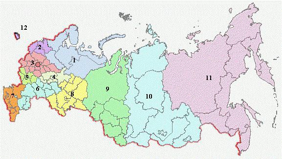 географическое положение лесов России