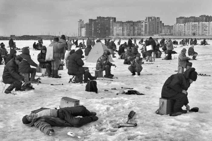 подводная камера для зимней рыбалки