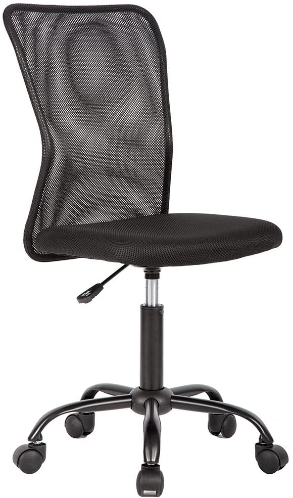 Mesh Computer Chair with Back Support