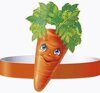 Ободок морковь