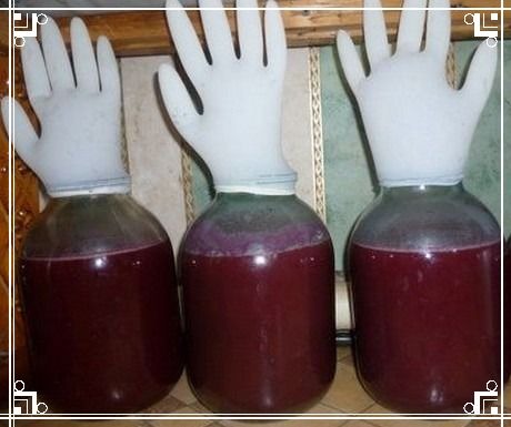 kak-sdelat-vino-iz-vinograda