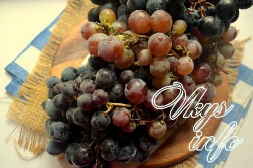 Чем полезно виноградное варенье. Прозрачное виноградное варенье с целыми виноградинками: варю в два приема 17